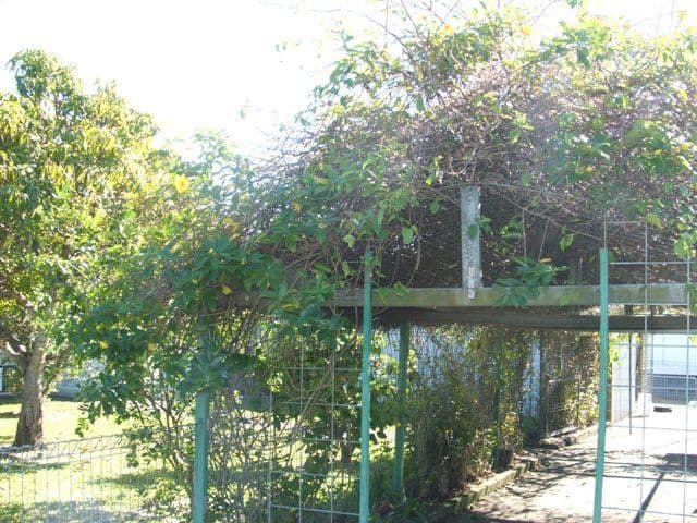 252 Postle Street, ACACIA RIDGE QLD 4110, Acacia Ridge - Thumbnail 2