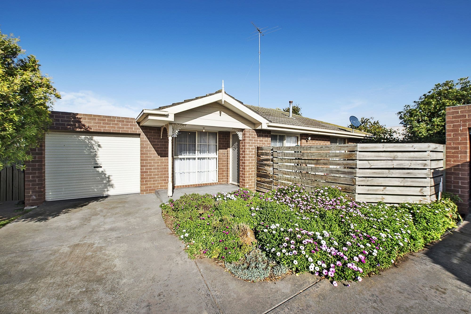 36 Hickey Street, Whittington VIC 3219, Whittington - Image 1