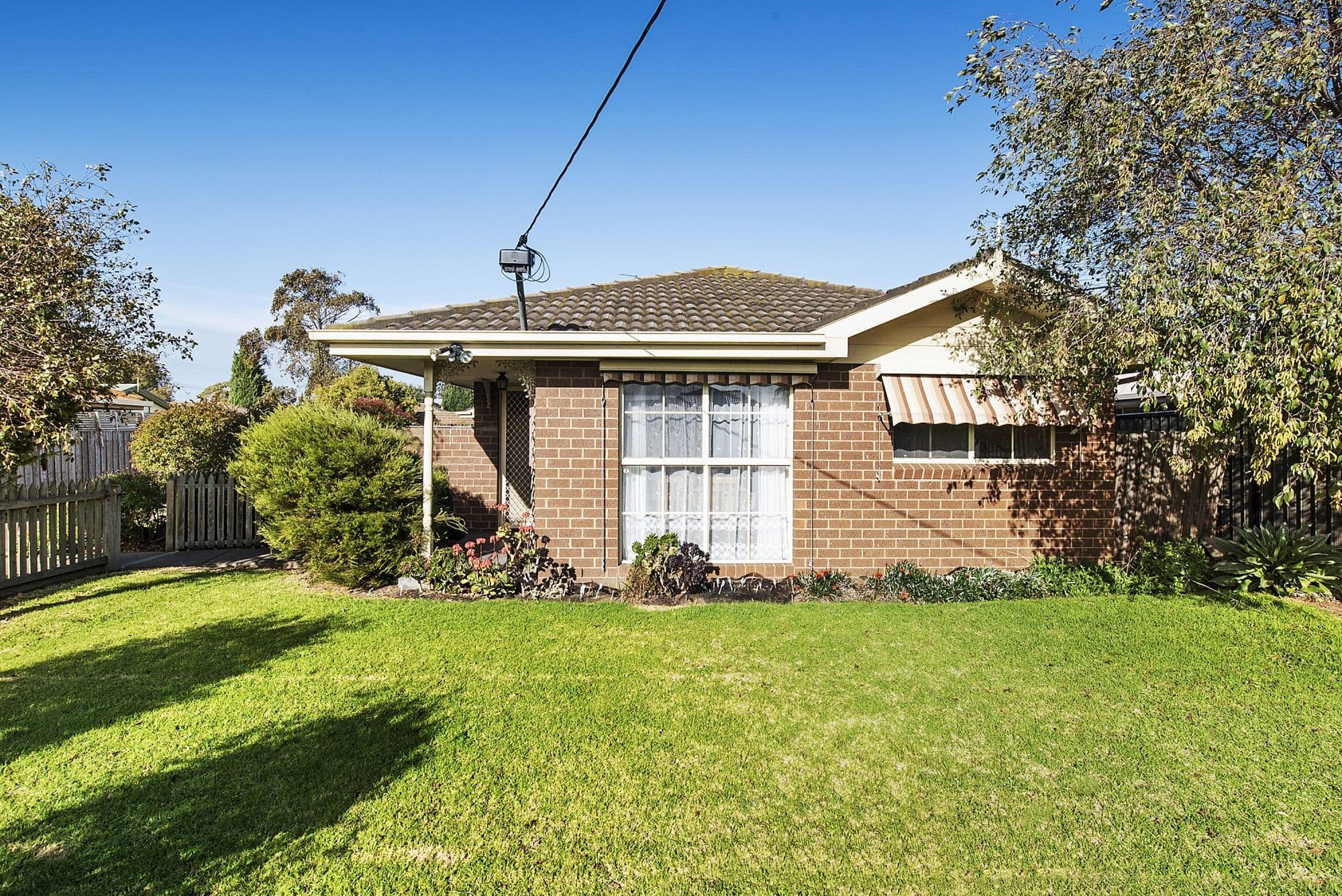 36 Hickey Street, Whittington VIC 3219, Whittington - Thumbnail 2