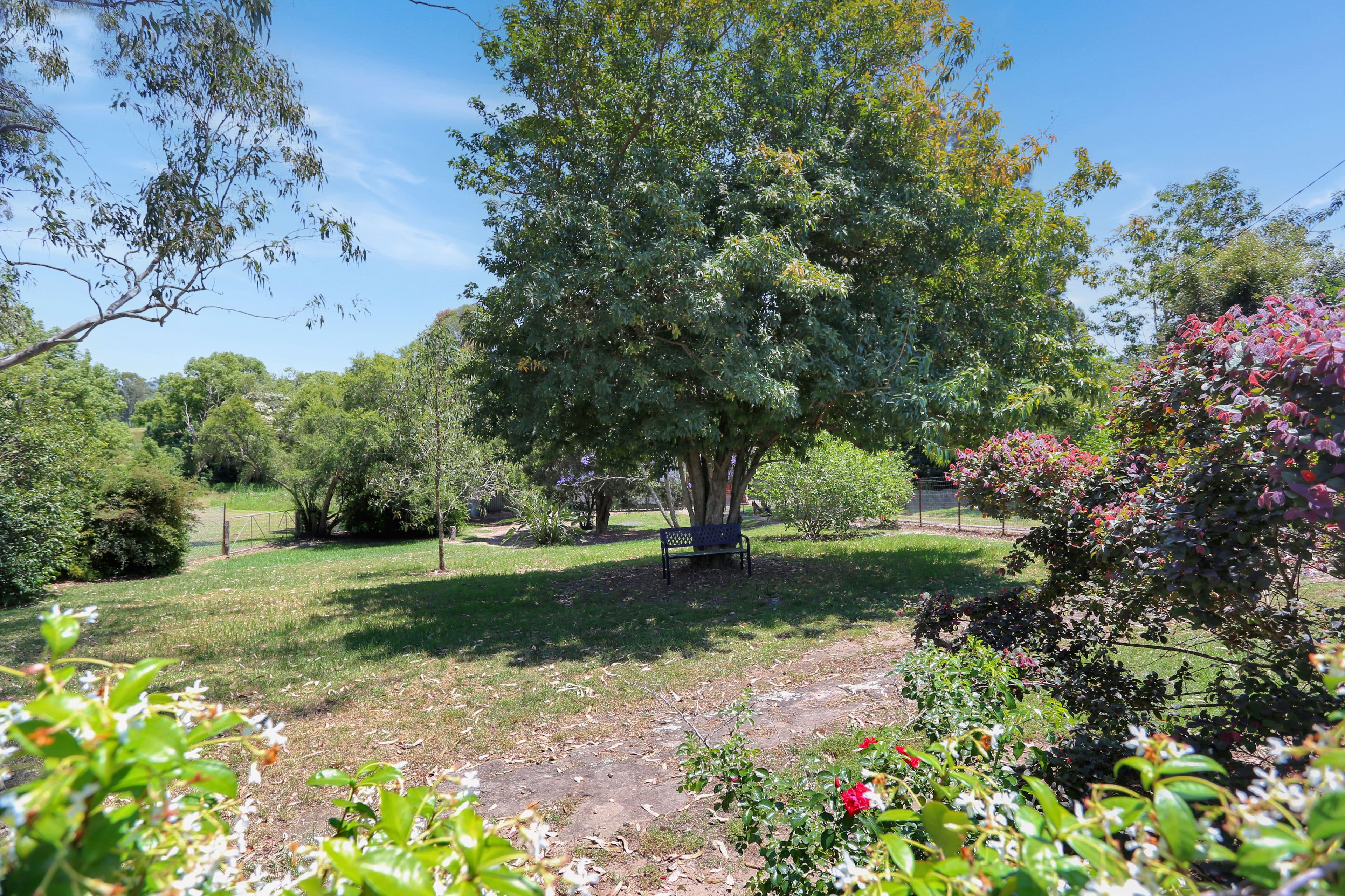 25 Myall Street, Bulahdelah NSW 2423, Bulahdelah - Thumbnail 3