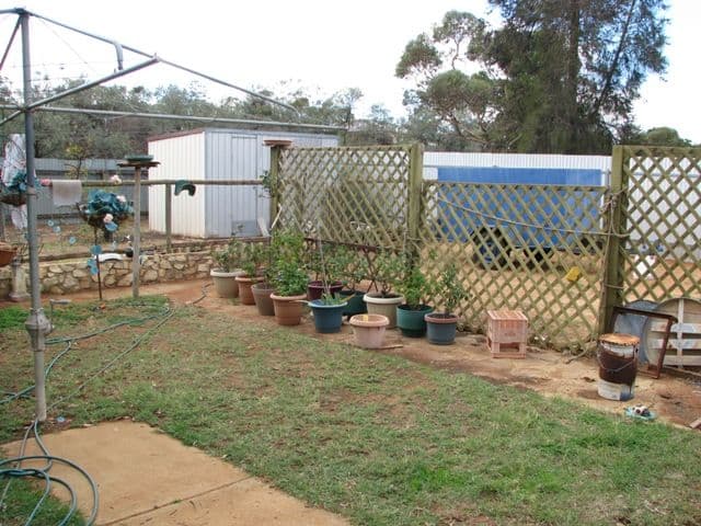 5 Phillips Road, BERRI SA 5343, Berri - Thumbnail 4
