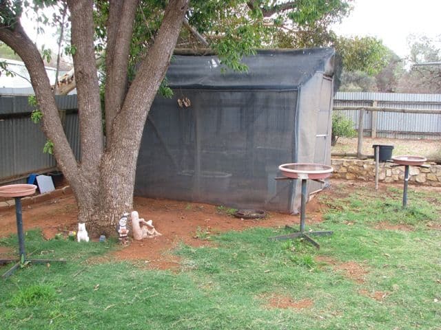 5 Phillips Road, BERRI SA 5343, Berri - Thumbnail 5