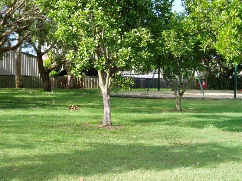312 Adina Street, BILINGA QLD 4225, Bilinga - Thumbnail 5