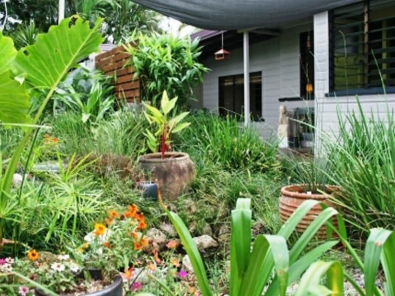 44  Thomson Road, EDMONTON QLD 4869, Edmonton - Thumbnail 5