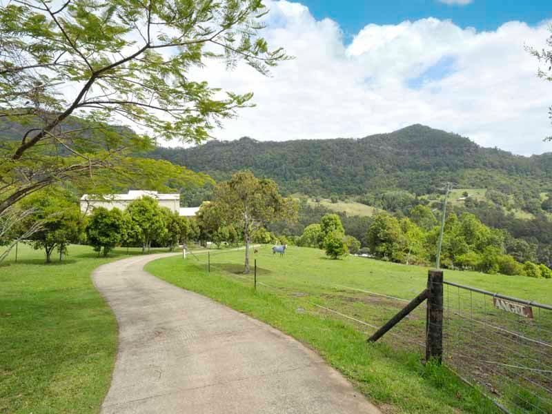 340 Petsch Creek Road, TALLEBUDGERA VALLEY QLD 4228, Tallebudgera Valley - Image 1