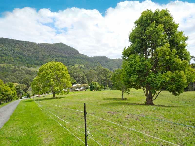 340 Petsch Creek Road, TALLEBUDGERA VALLEY QLD 4228, Tallebudgera Valley - Thumbnail 3