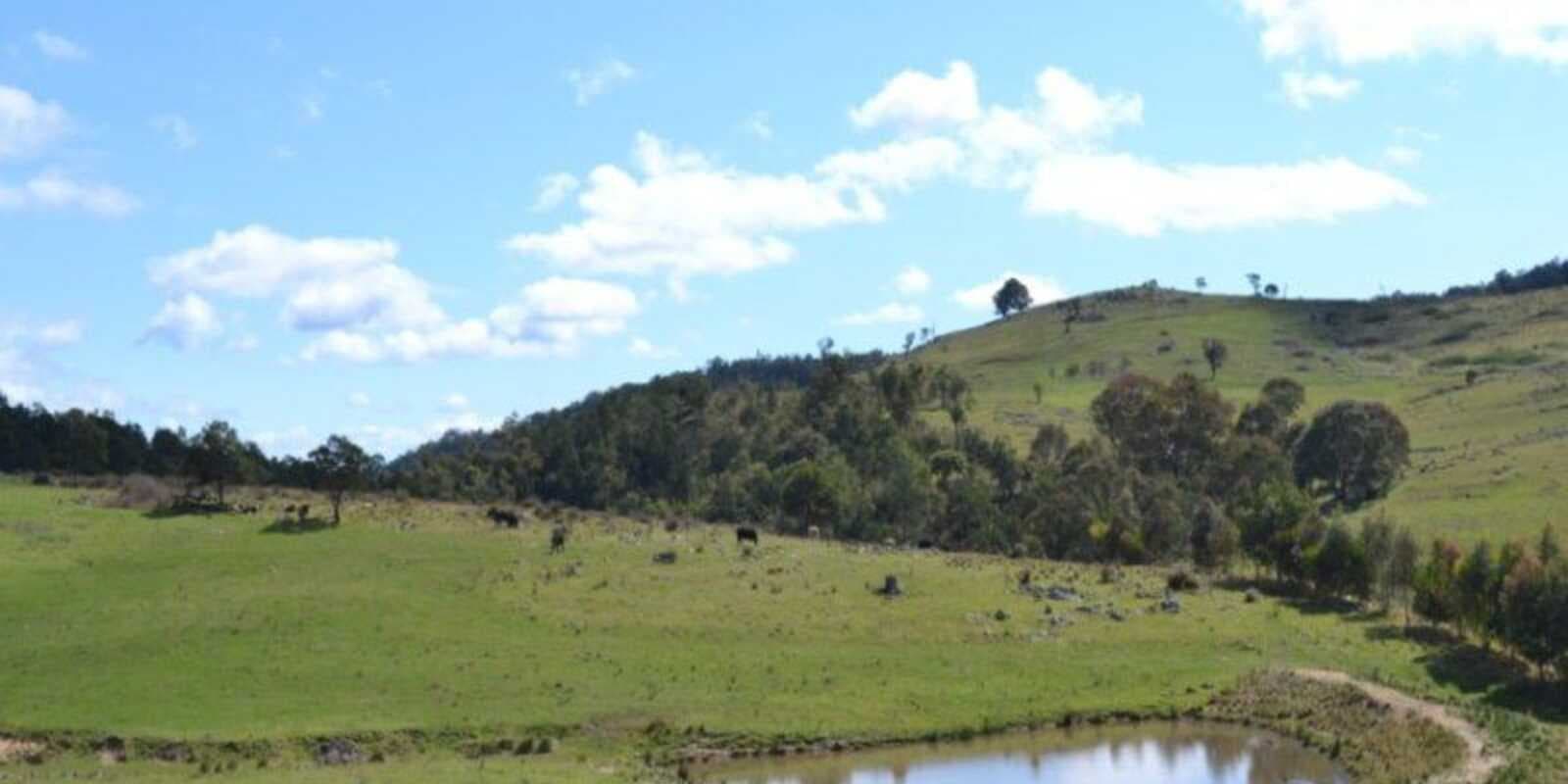 Wombeyan Caves Road Bullio, Bullio - Thumbnail 3