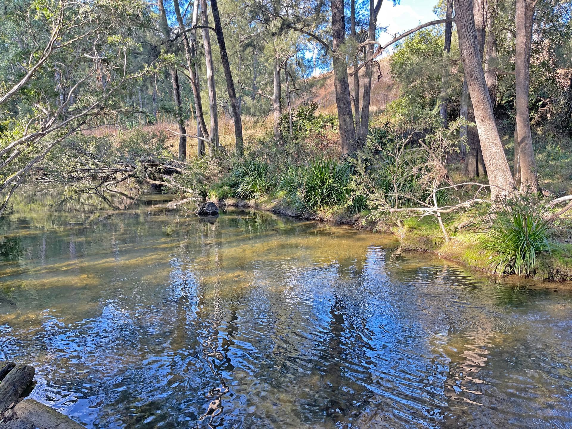 1507 Bakers Creek Road, Bundook, Bundook - Image 1