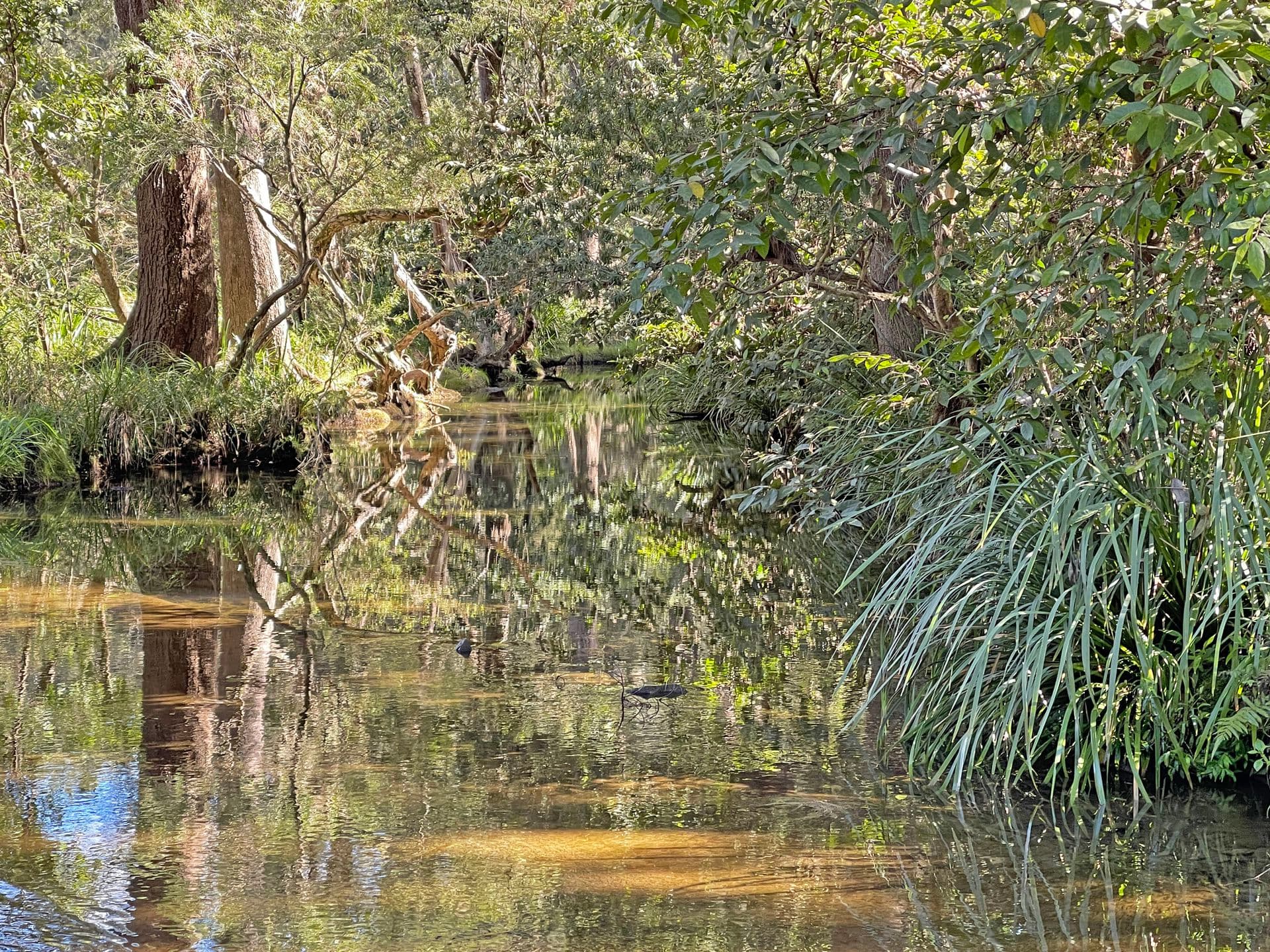 1507 Bakers Creek Road, Bundook, Bundook - Thumbnail 5