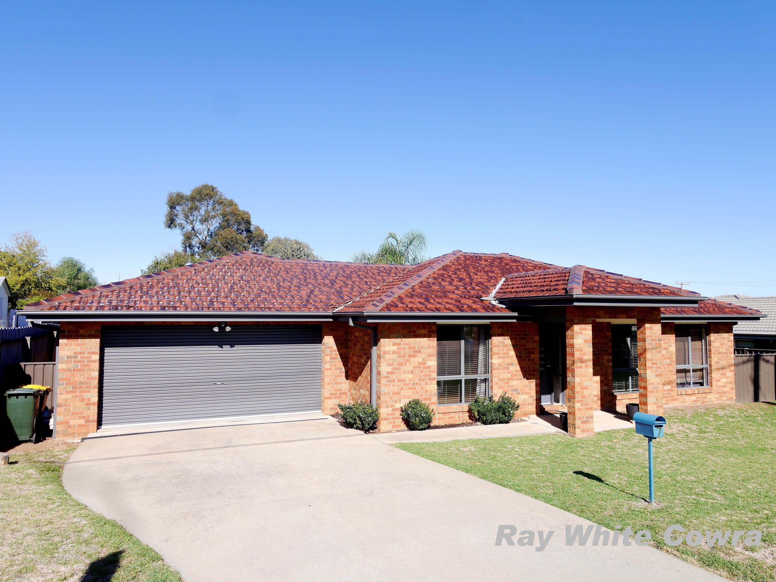 3 Myall Street, Cowra - Image 1