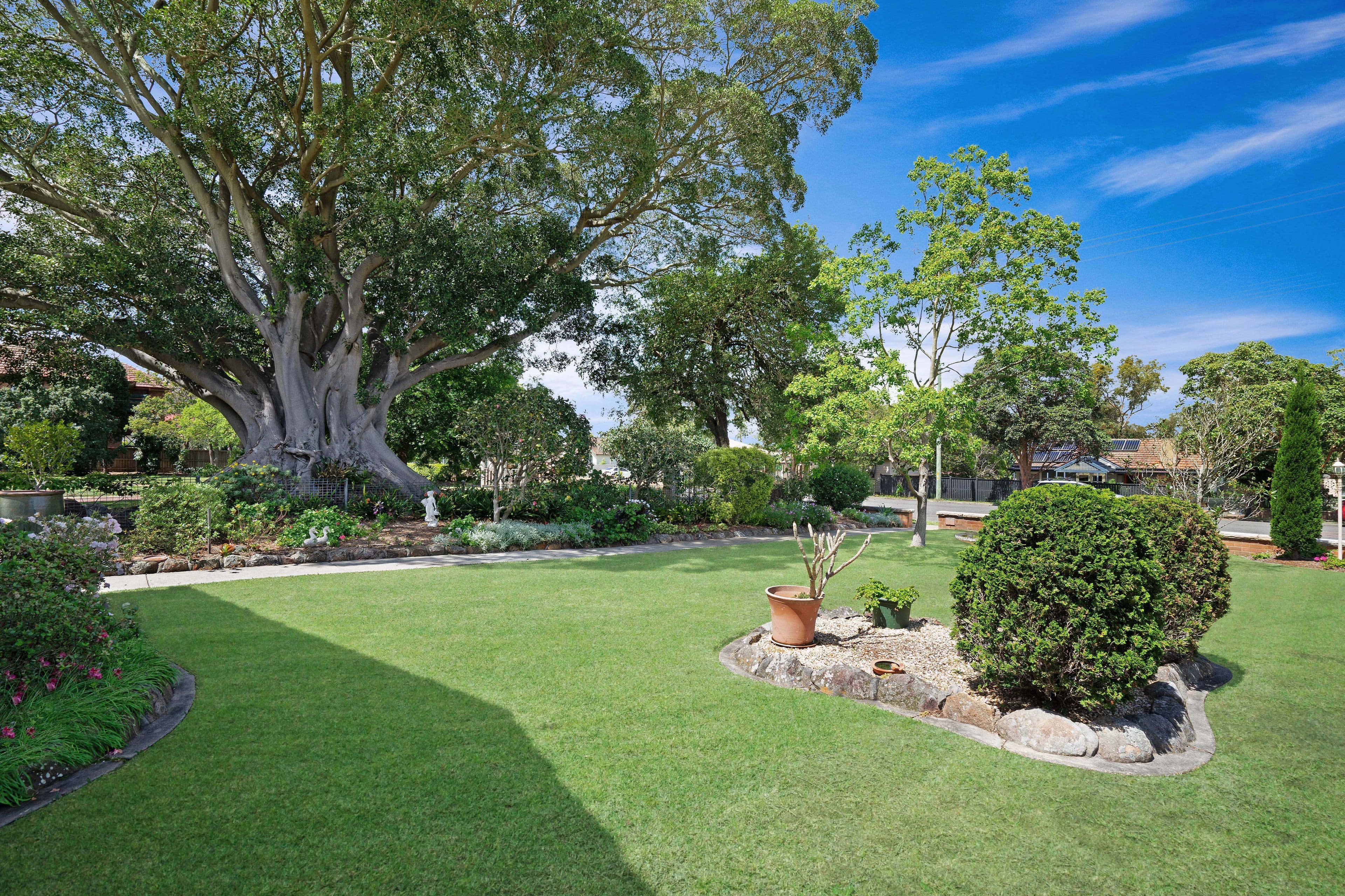 55 Brunswick Street, East Maitland - Thumbnail 3