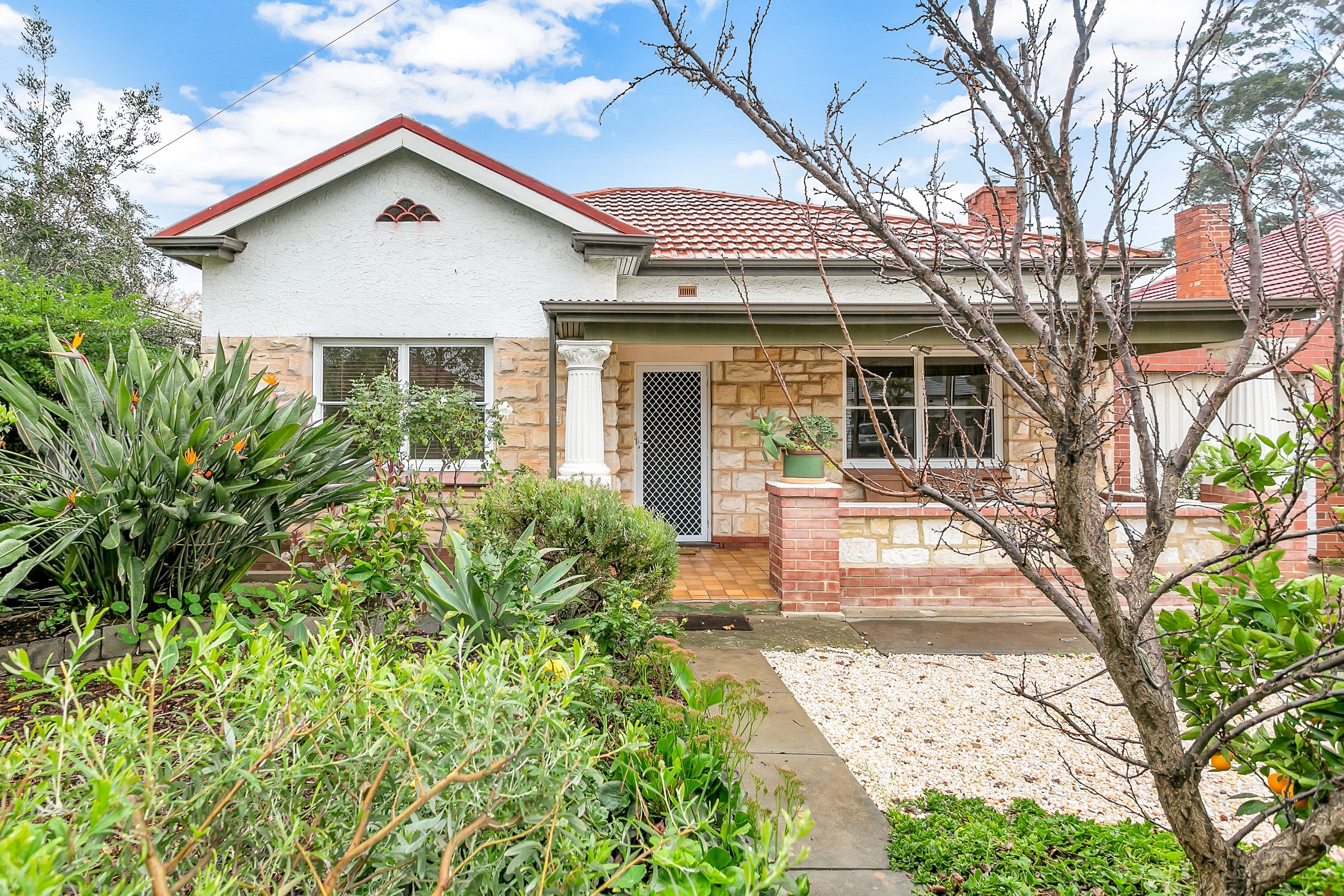 6 Chenoweth Avenue, West Croydon SA 5008, West Croydon - Image 1