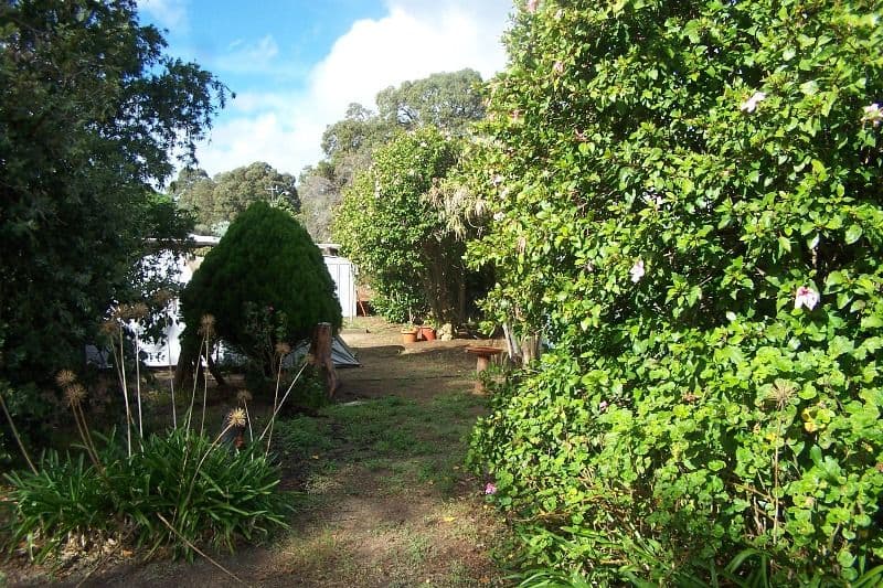 110 Canning Road, KALAMUNDA WA 6076, Kalamunda - Thumbnail 5