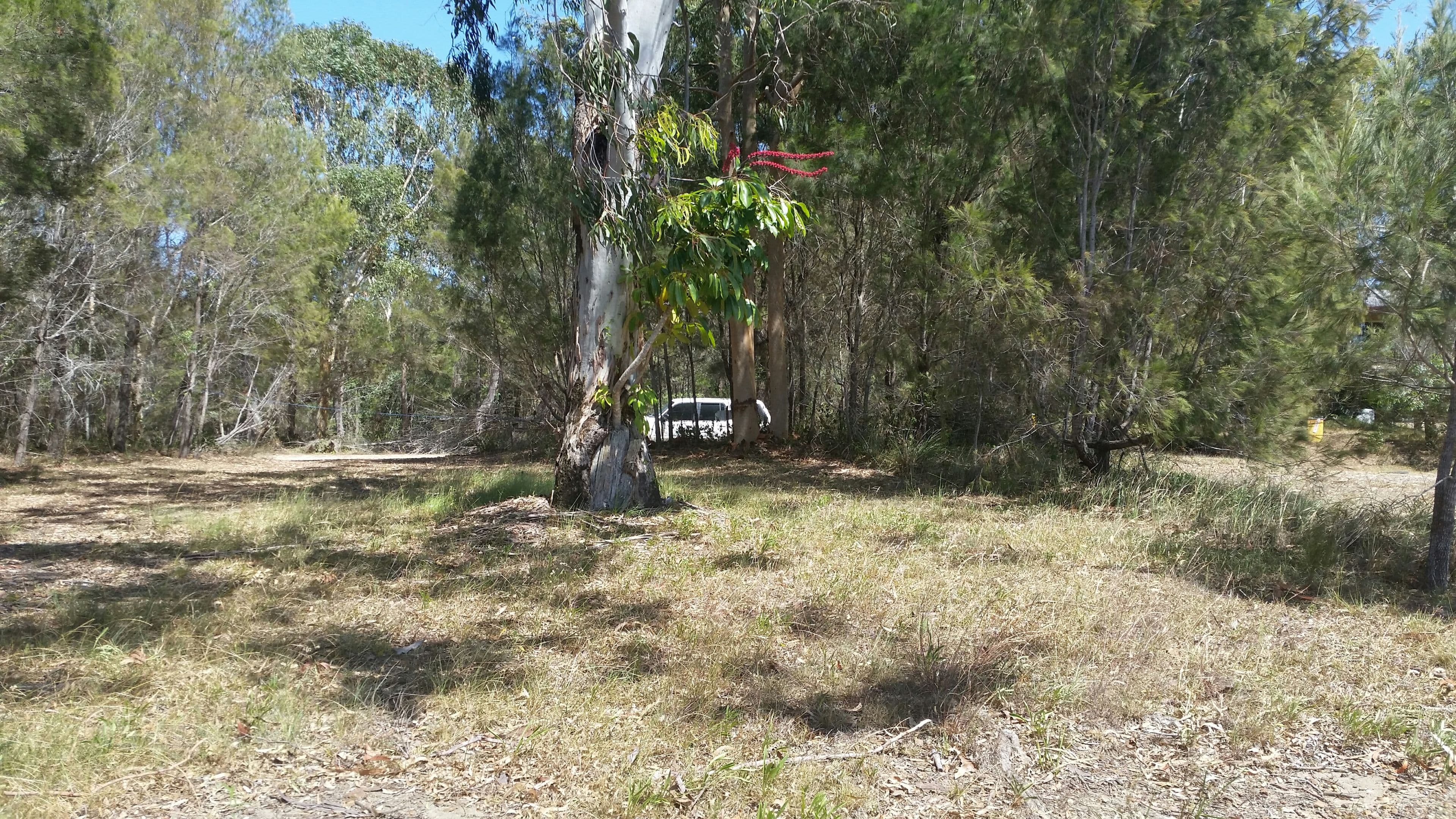 37 Scenic Drive, Russell Island QLD 4184, Russell Island - Thumbnail 3