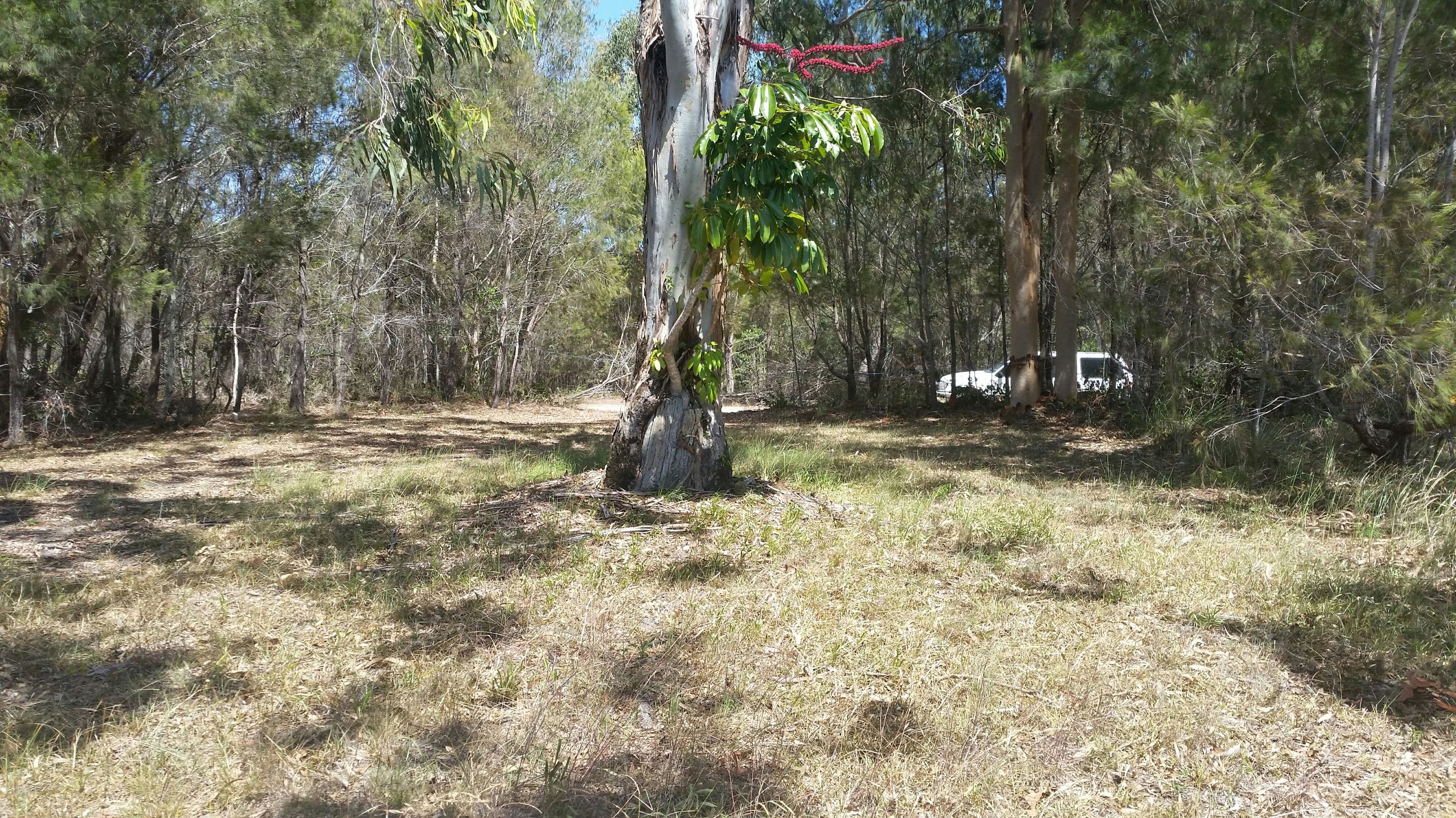 37 Scenic Drive, Russell Island QLD 4184, Russell Island - Thumbnail 4