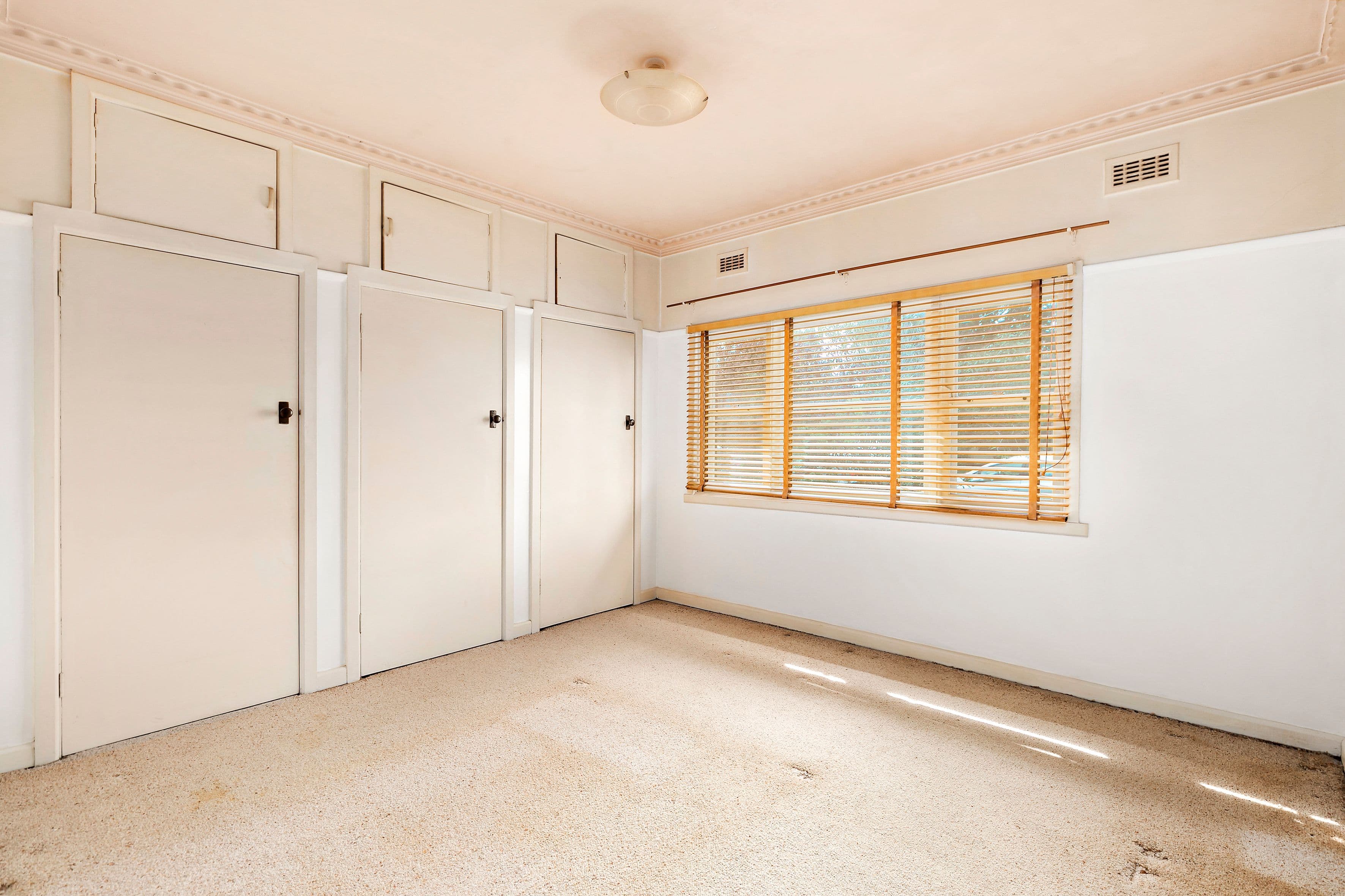 45 Tassell Street, Hadfield VIC 3046, Hadfield - Thumbnail 5