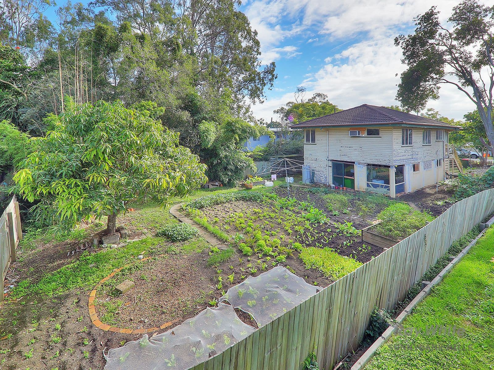 51 Penarth Street, Runcorn QLD 4113, Runcorn - Image 1