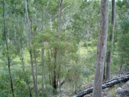 UPPER LOCKYER QLD 4352, Upper Lockyer - Thumbnail 6