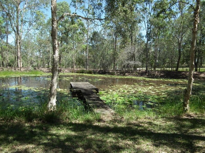 118 Philip Drive, Teddington QLD 4650, Teddington - Image 1