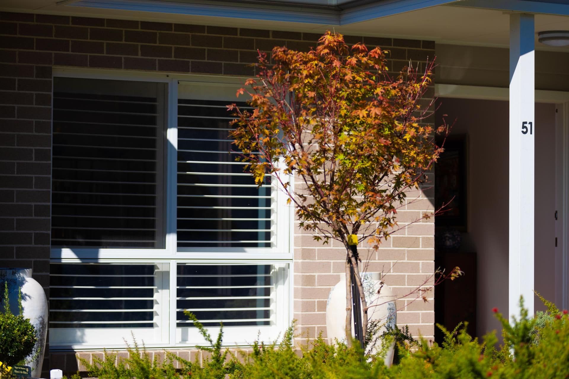 51 North Street, Robertson NSW 2577, Robertson - Thumbnail 3