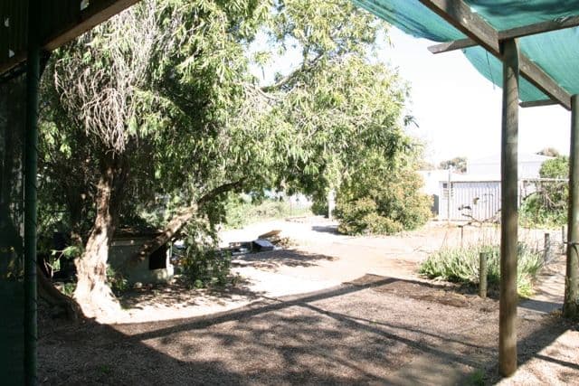 13 Main Street, BRINKWORTH SA 5464, Brinkworth - Thumbnail 6