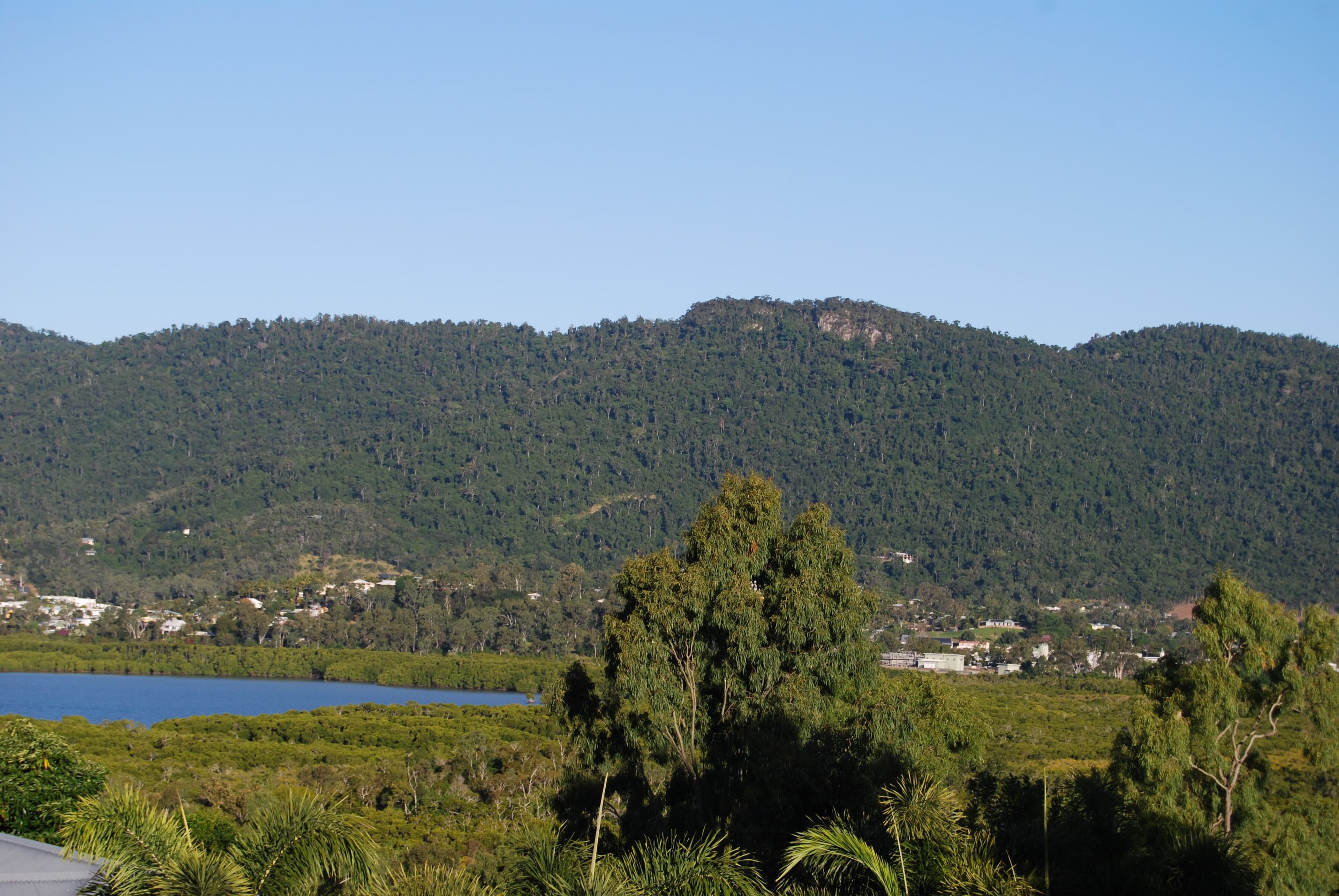 79 Botanica Drive, Woodwark QLD 4802, Woodwark - Thumbnail 2