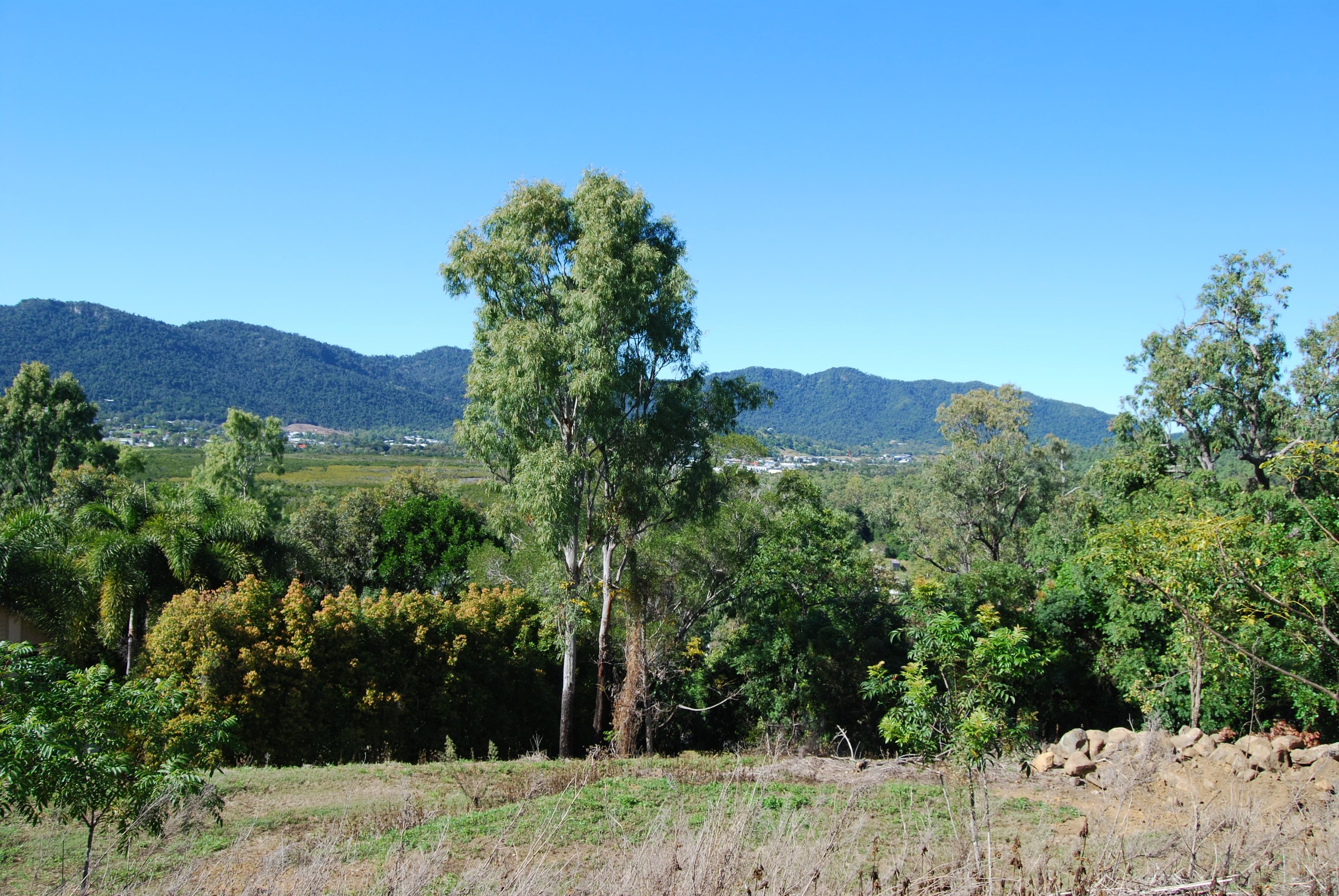 79 Botanica Drive, Woodwark QLD 4802, Woodwark - Thumbnail 4