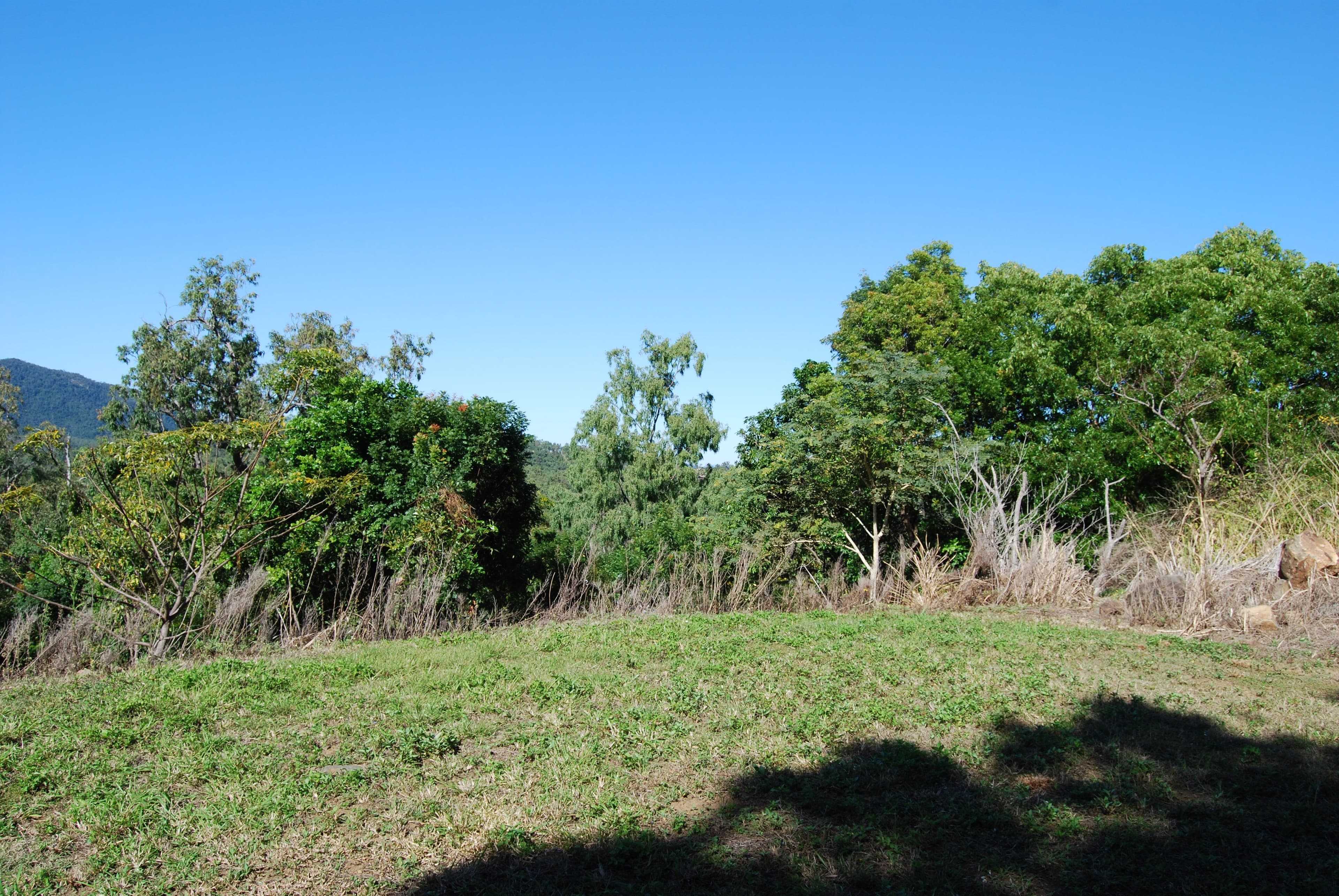 79 Botanica Drive, Woodwark QLD 4802, Woodwark - Thumbnail 5
