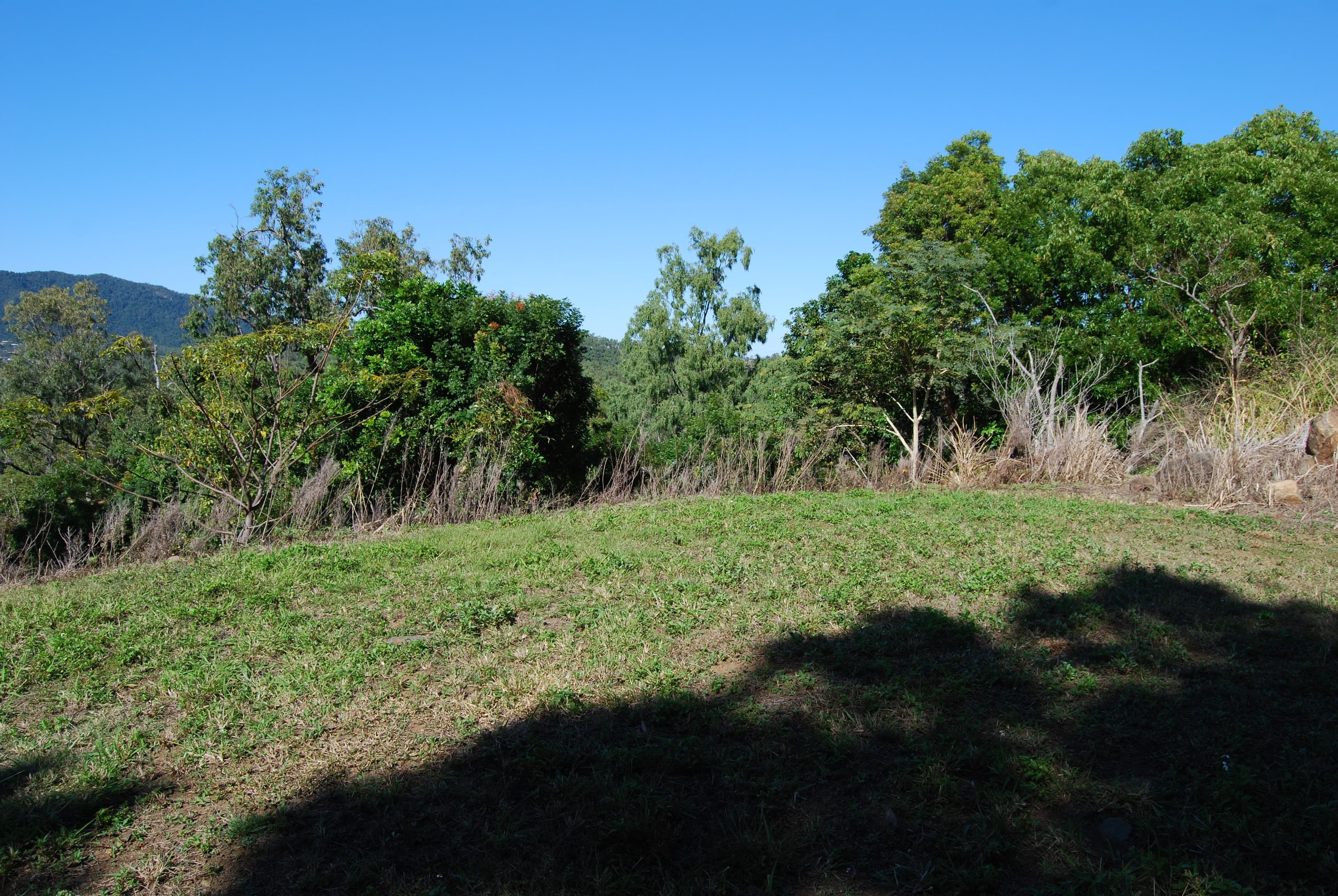 79 Botanica Drive, Woodwark QLD 4802, Woodwark - Thumbnail 7