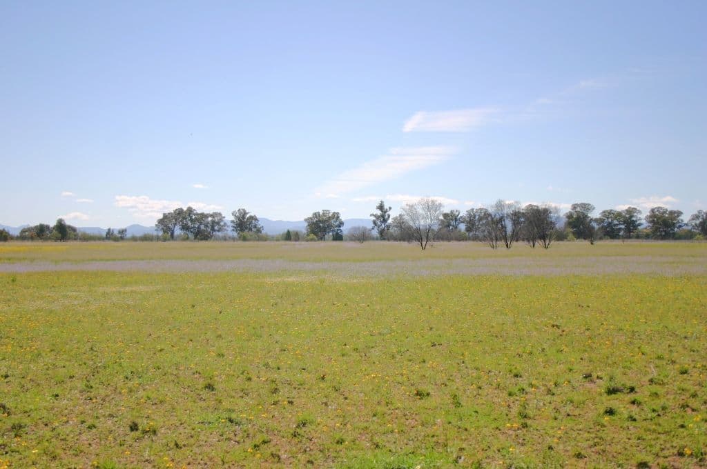 215 Jacks Creek Road, NARRABRI NSW 2390, Narrabri - Thumbnail 2