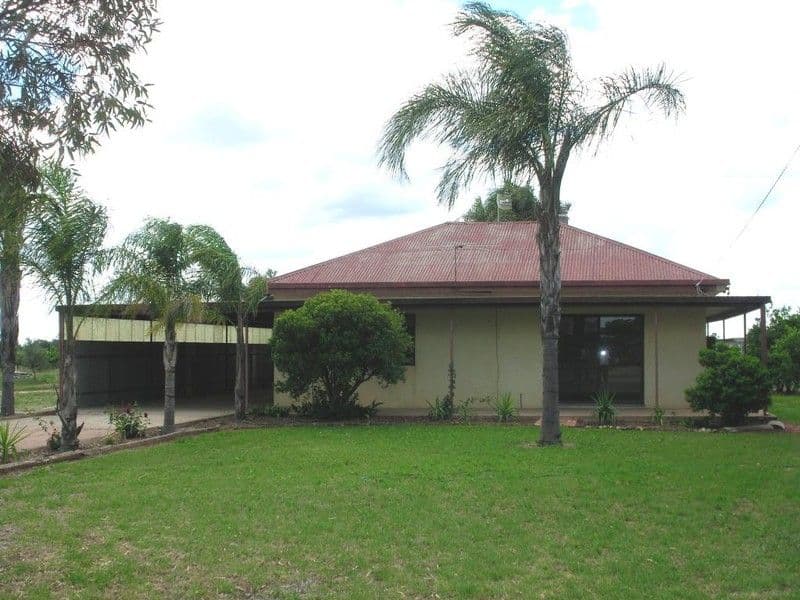 3133 Ontario Avenue, MILDURA VIC 3500, Mildura - Thumbnail 5