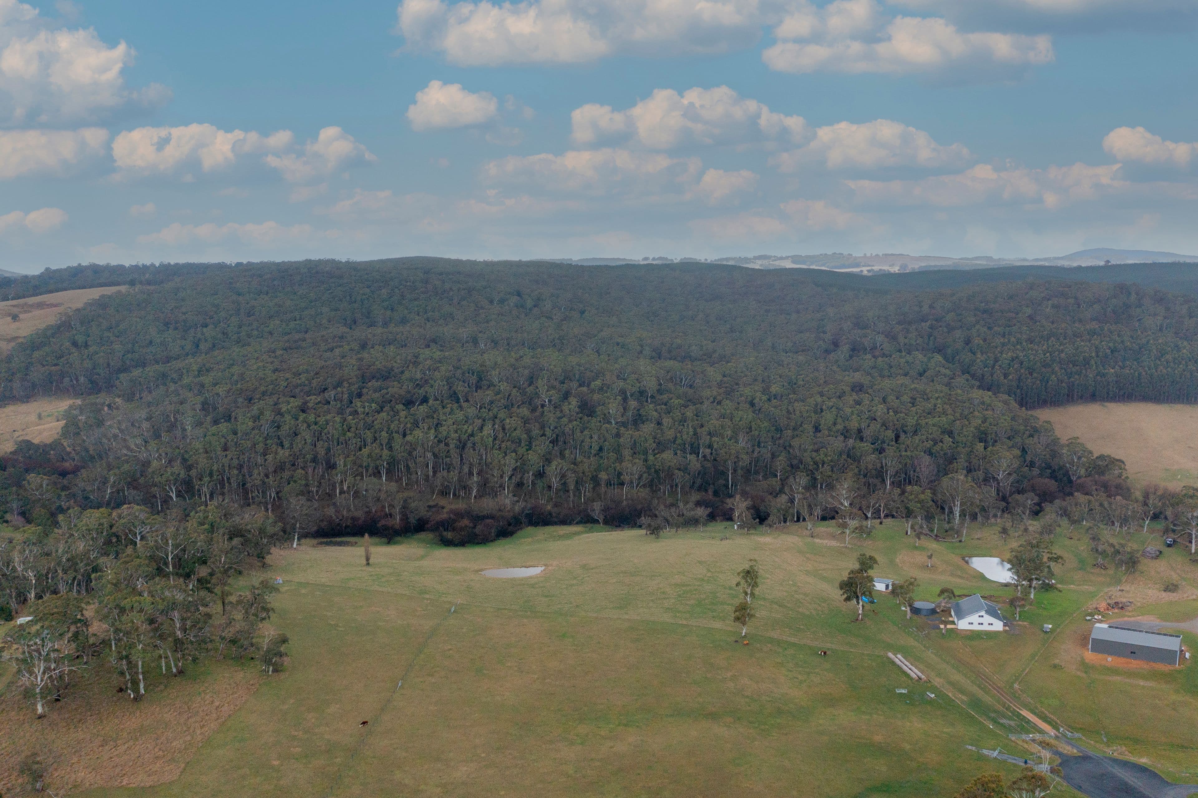 116 Lysander Road, Oberon NSW 2787, Oberon - Thumbnail 5