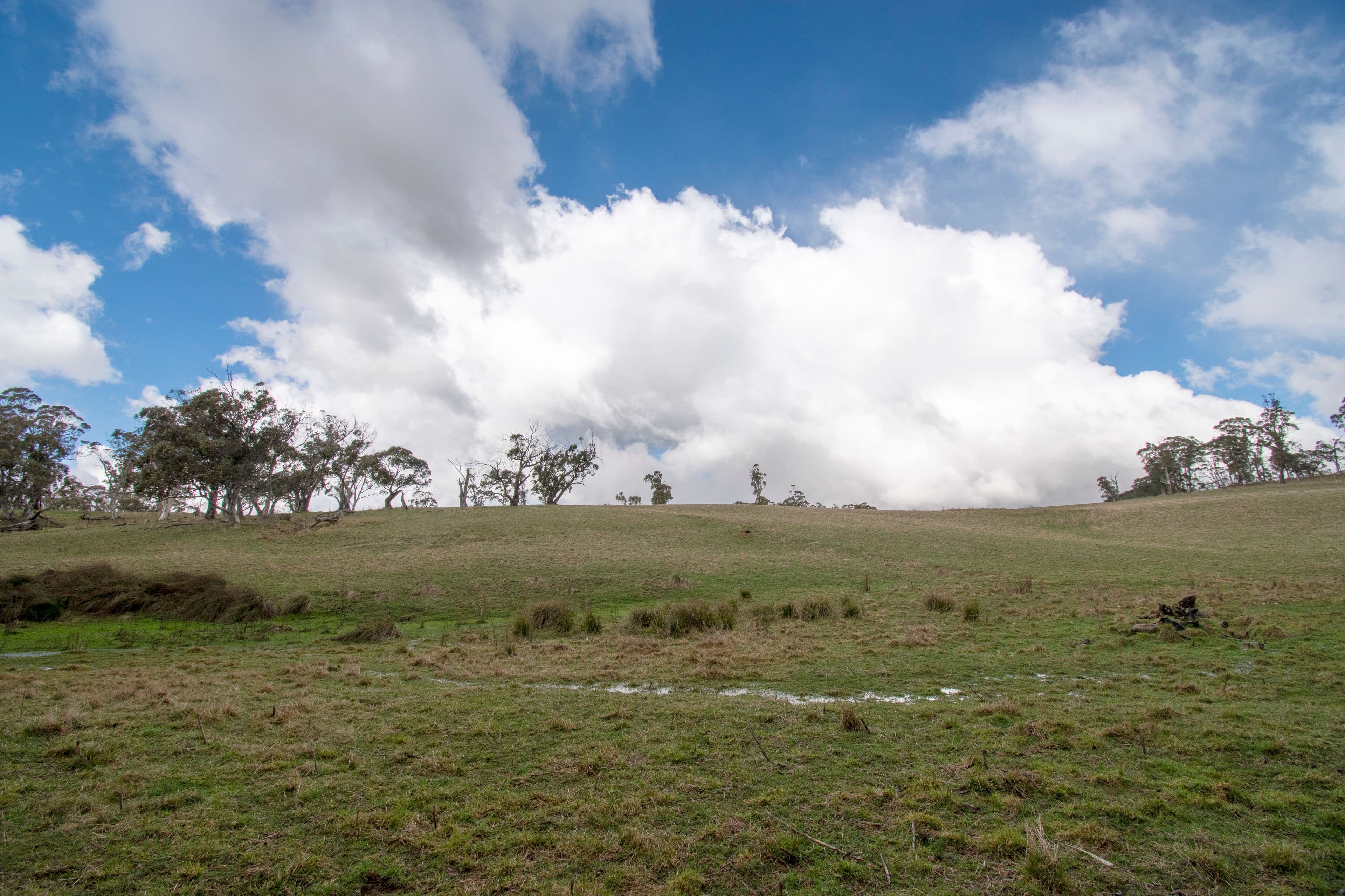 116 Lysander Road, Oberon NSW 2787, Oberon - Thumbnail 6