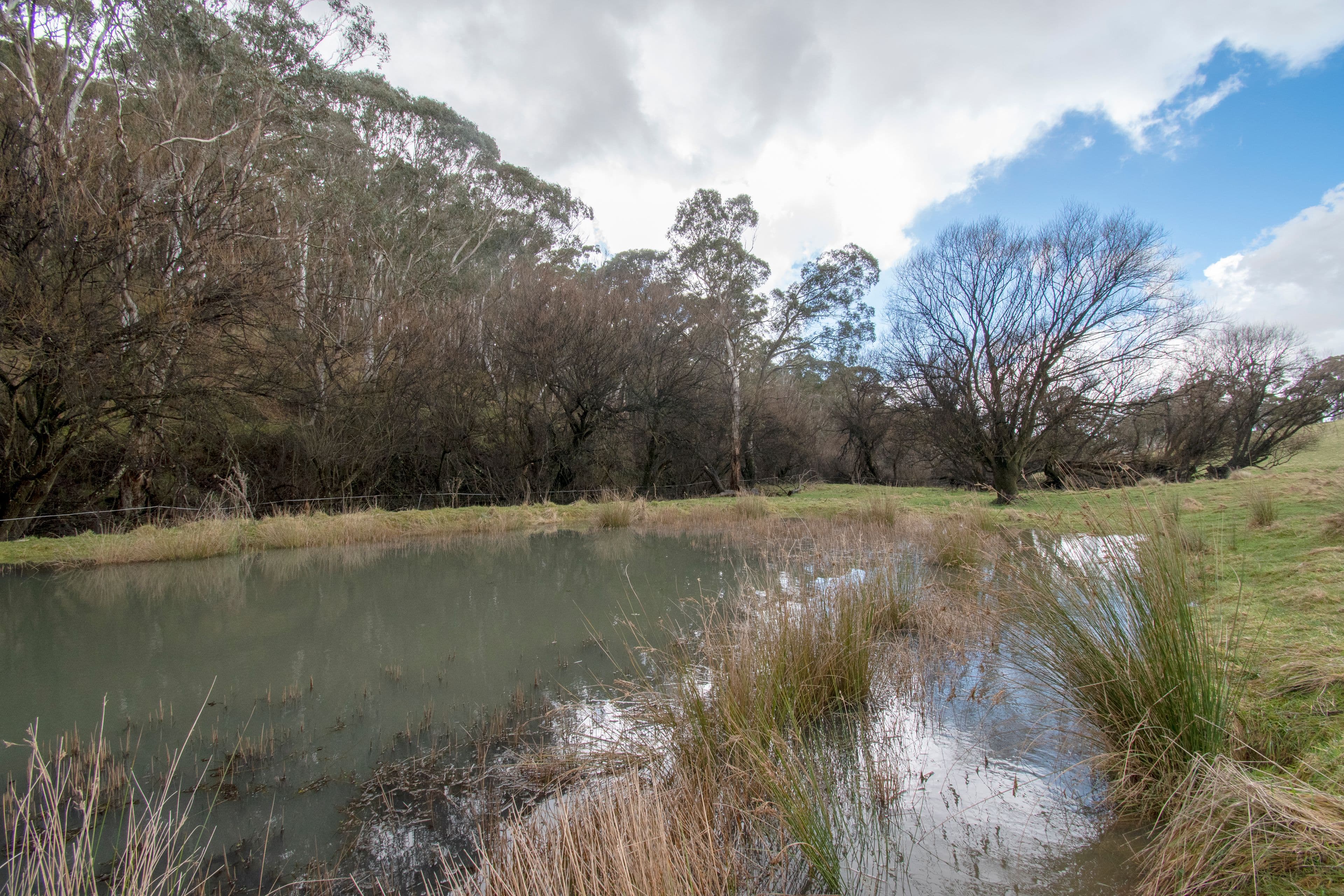 116 Lysander Road, Oberon NSW 2787, Oberon - Thumbnail 7