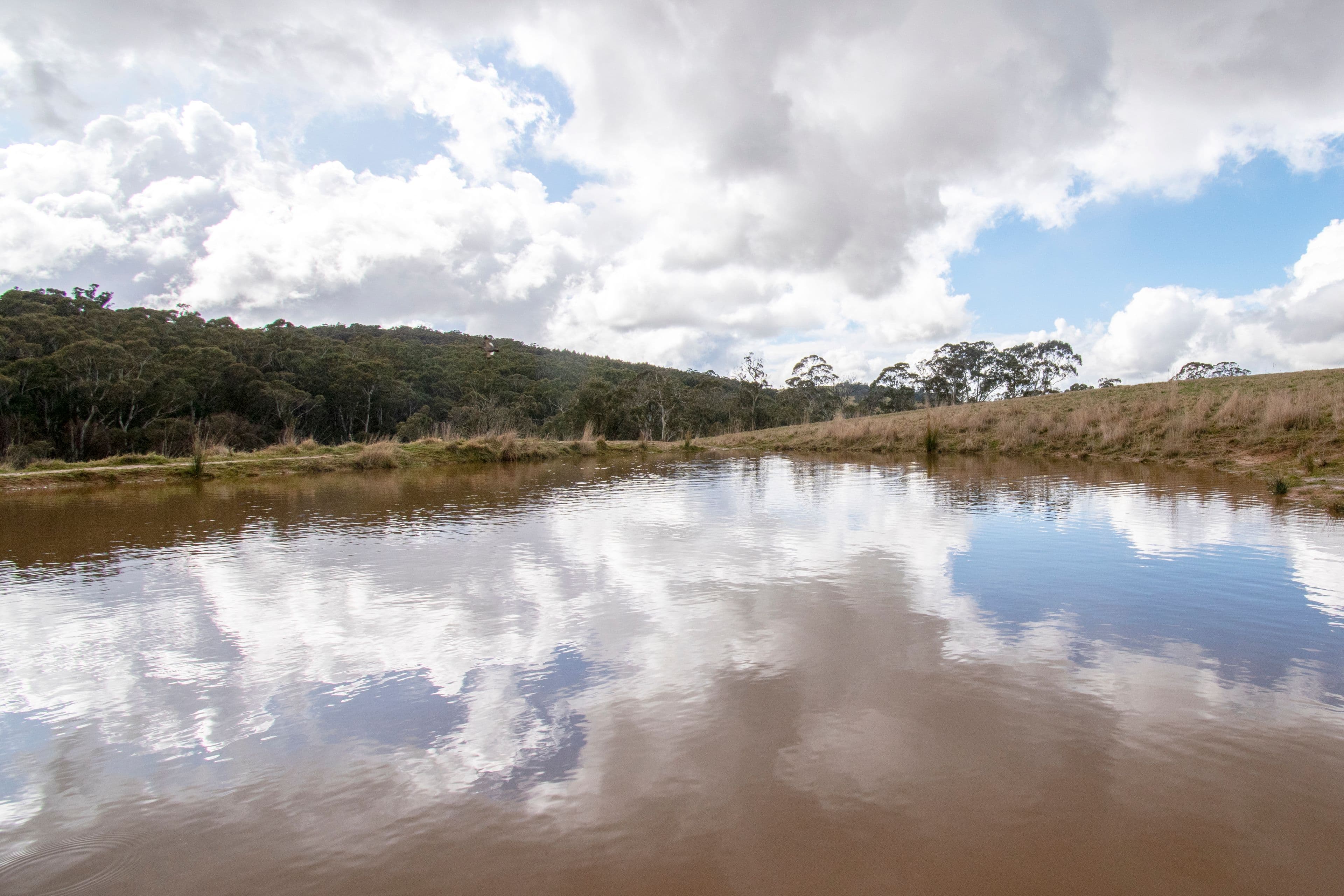 116 Lysander Road, Oberon NSW 2787, Oberon - Thumbnail 8