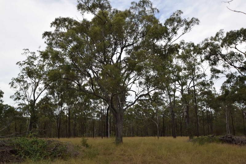 17 Lakeview Drive, Esk QLD 4312, Esk - Thumbnail 5