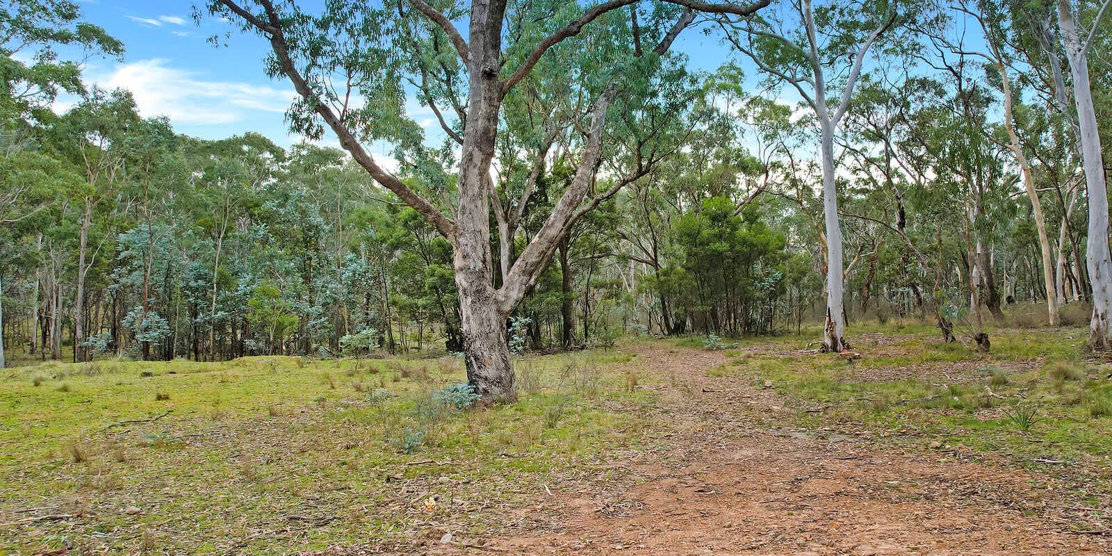 199 Tarlo River Road Greenwich Park, Park - Thumbnail 3