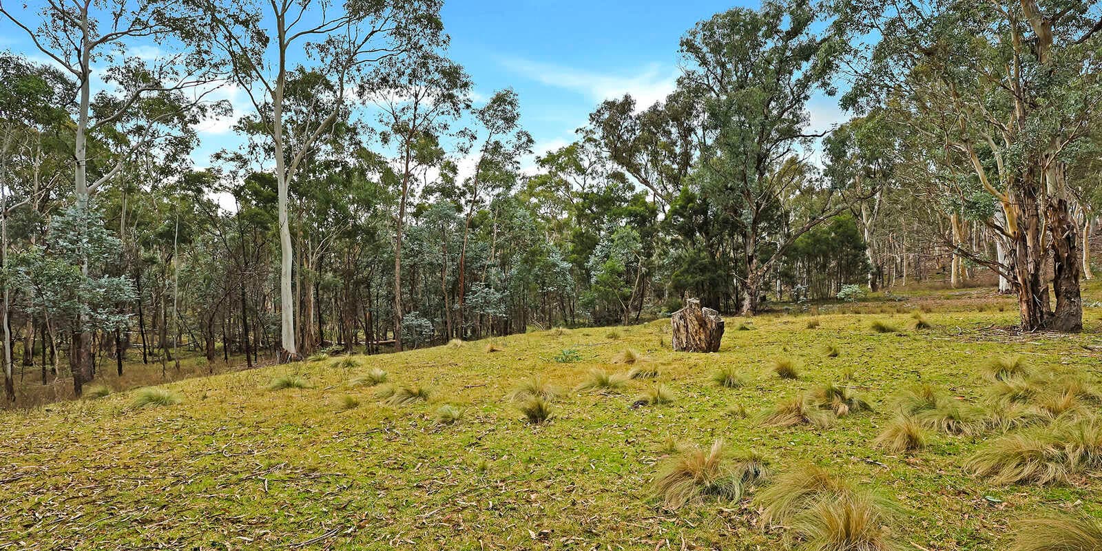 199 Tarlo River Road Greenwich Park, Park - Thumbnail 4