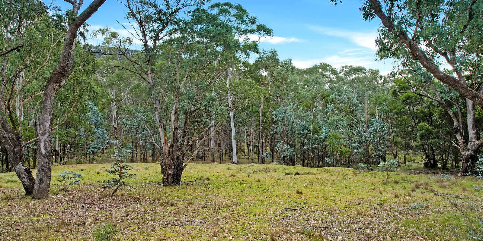 199 Tarlo River Road Greenwich Park, Park - Thumbnail 6