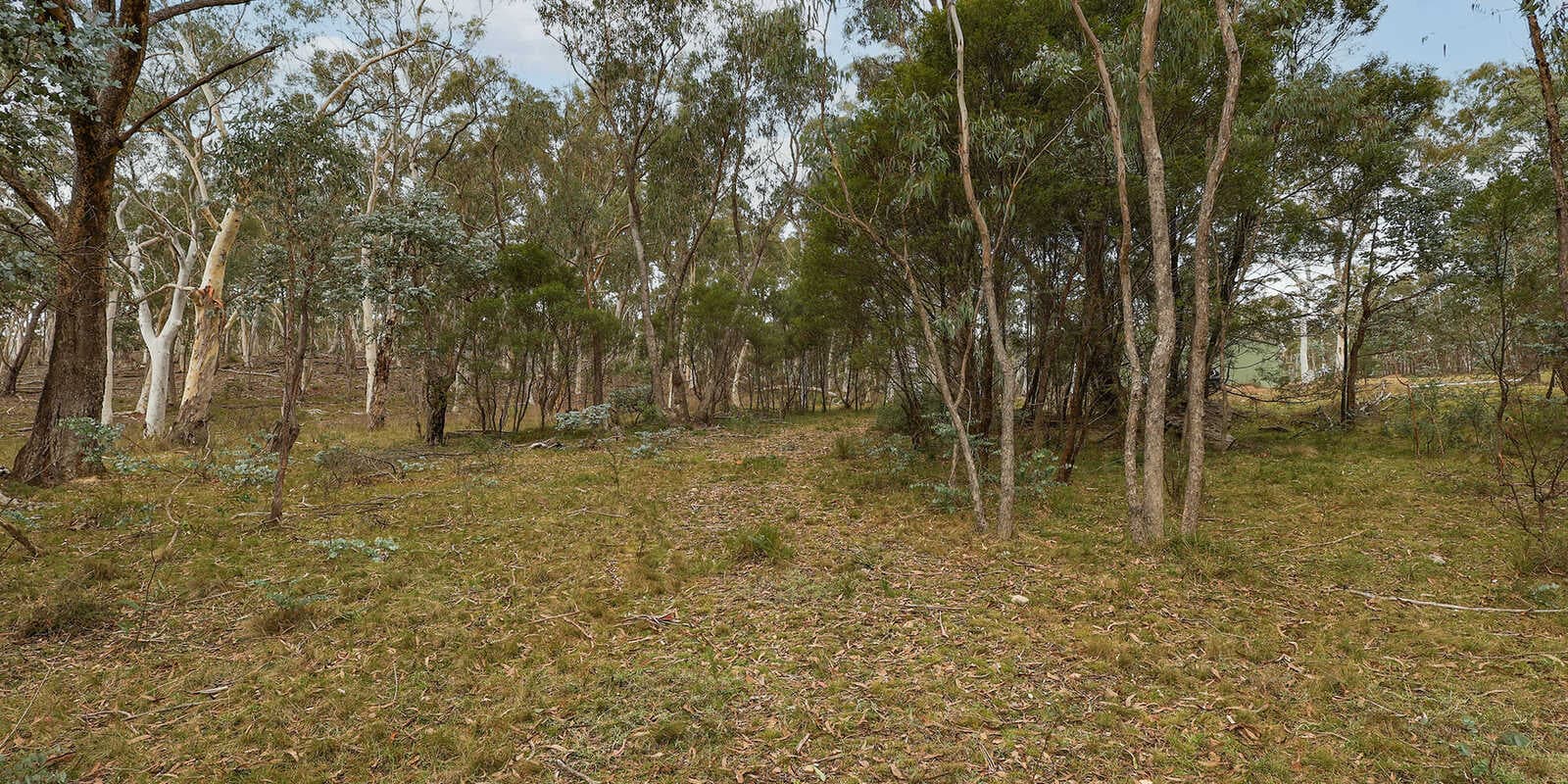 199 Tarlo River Road Greenwich Park, Park - Thumbnail 7