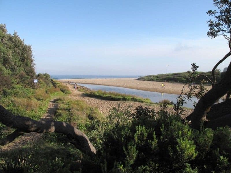 49a The Drive, STANWELL PARK NSW 2508, Stanwell Park - Thumbnail 6