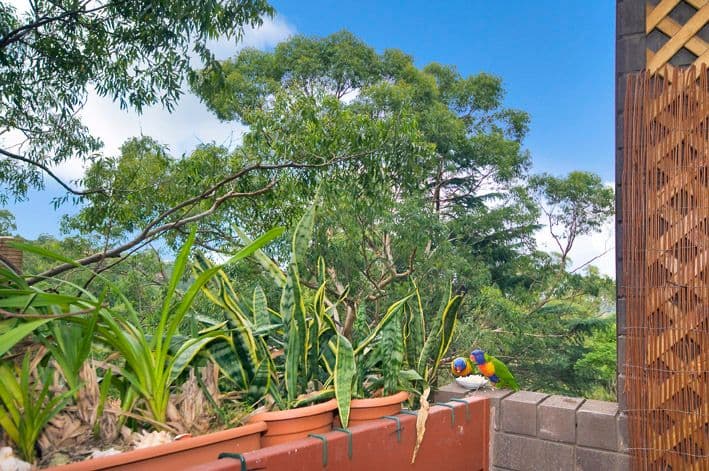 294 Pacific Highway, GREENWICH NSW 2065, Greenwich - Thumbnail 4