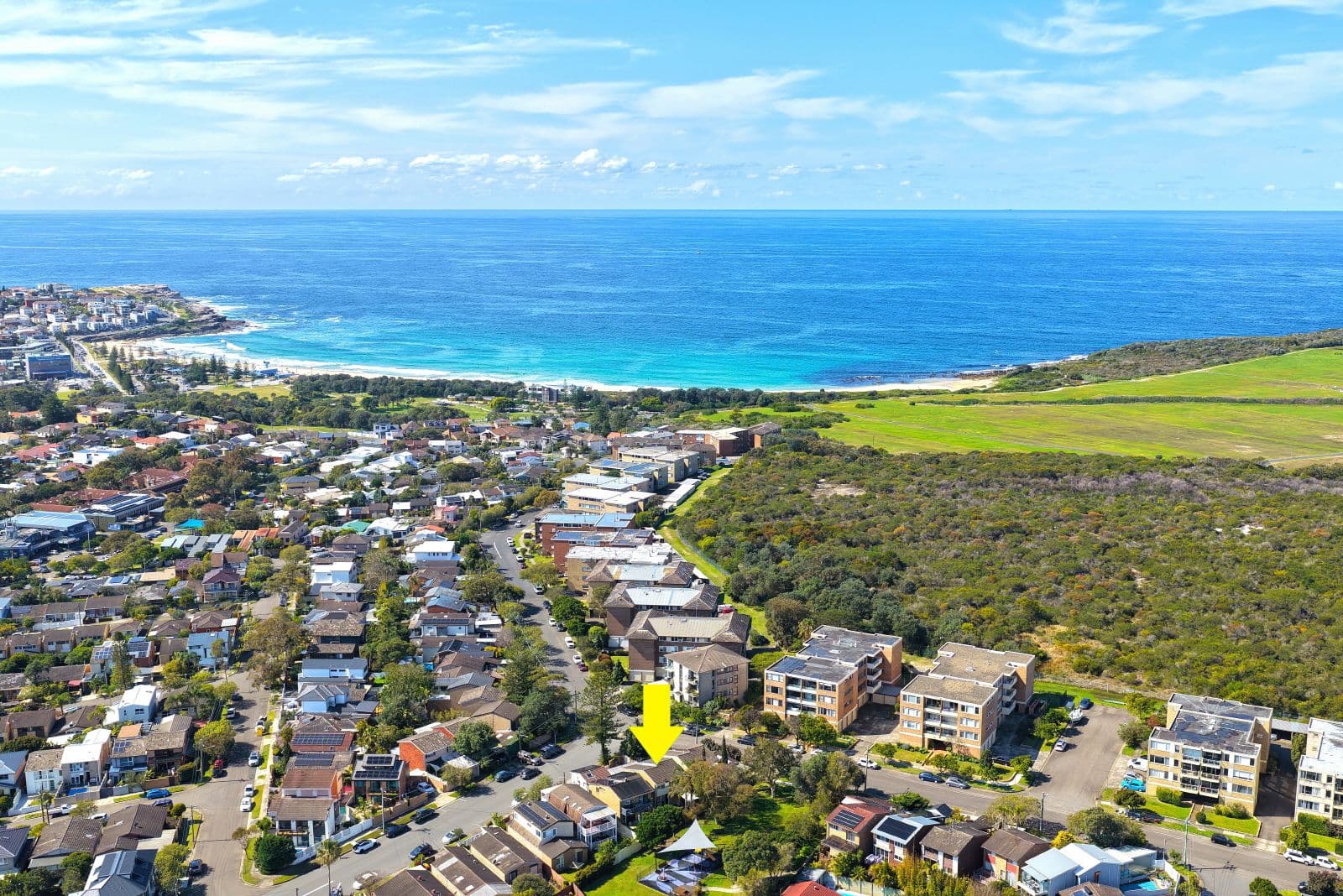 481 Beauchamp Road, Maroubra NSW 2035, Maroubra - Thumbnail 3
