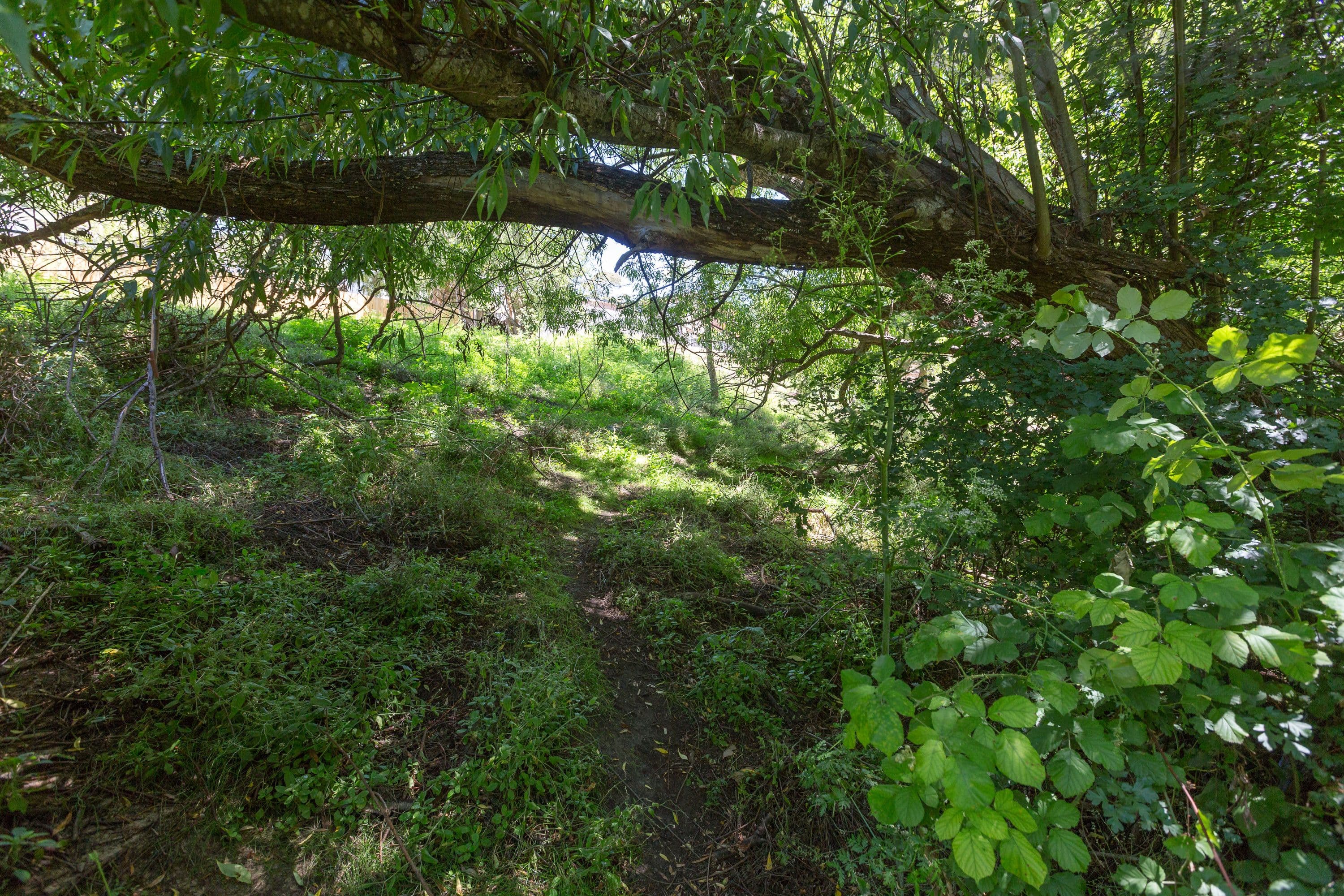 176A Waterworks Road, Dynnyrne TAS 7005, Dynnyrne - Thumbnail 8