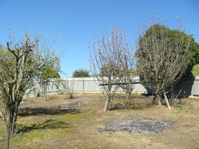 12 School Road, LOBETHAL SA 5241, Lobethal - Thumbnail 6
