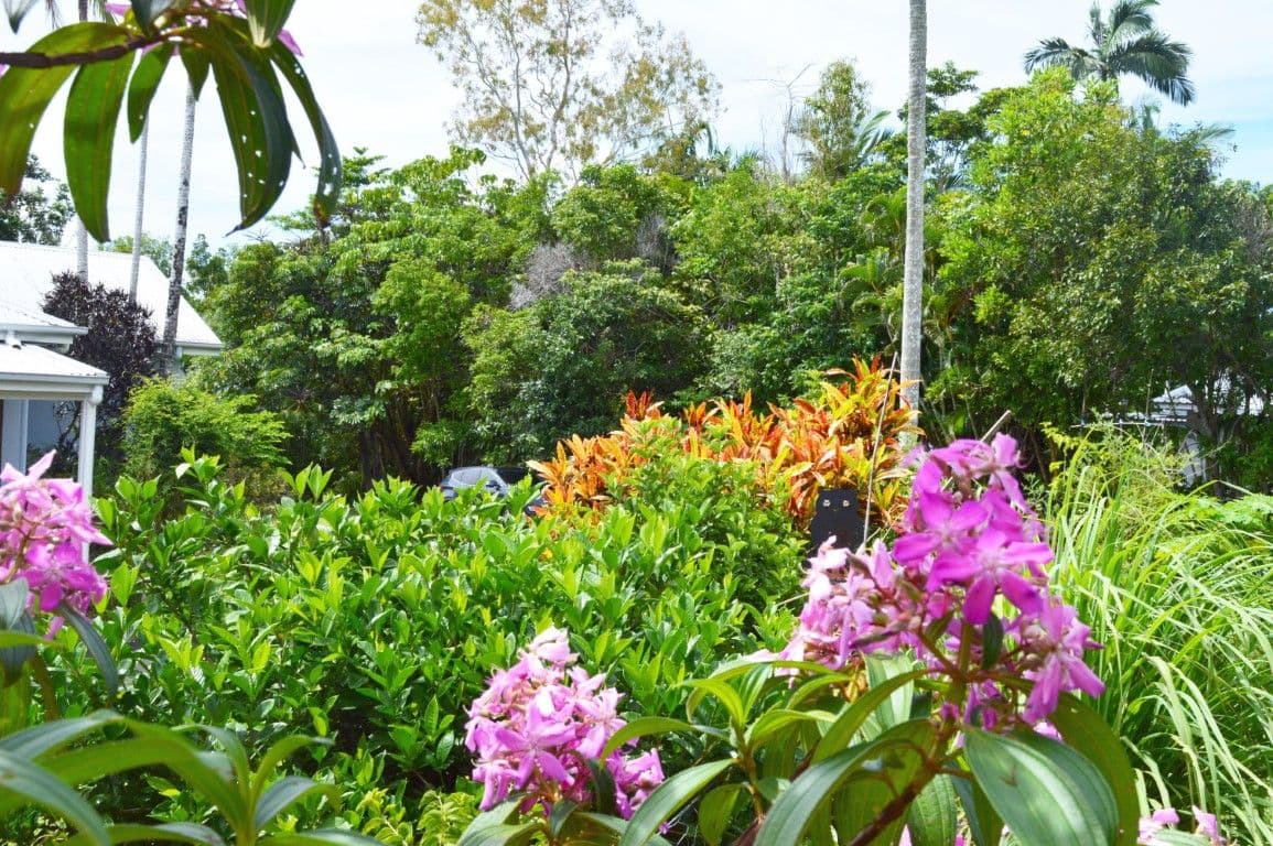10 Spurwood Close, Wongaling Beach QLD 4852, Wongaling Beach - Thumbnail 2