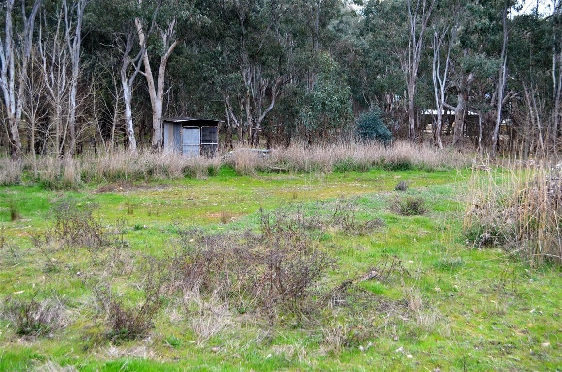 33 Rifle Range Road, Tumut NSW 2720, Tumut - Thumbnail 4