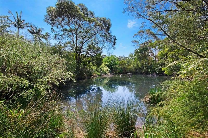 77 Kenthurst Road, KENTHURST NSW 2156, Kenthurst - Thumbnail 5