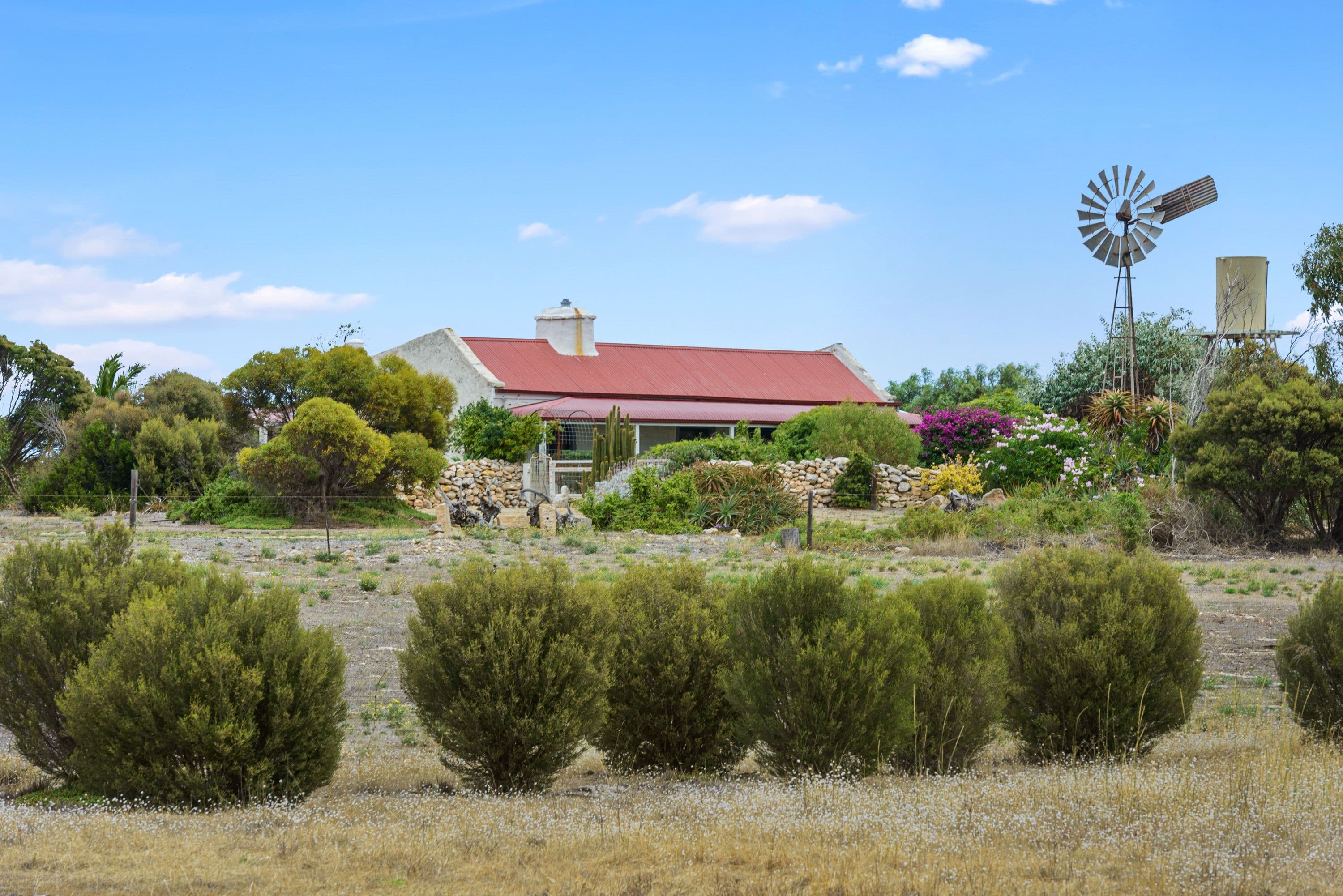 3378 Corny Point Road, Warooka SA 5577, Warooka - Image 1