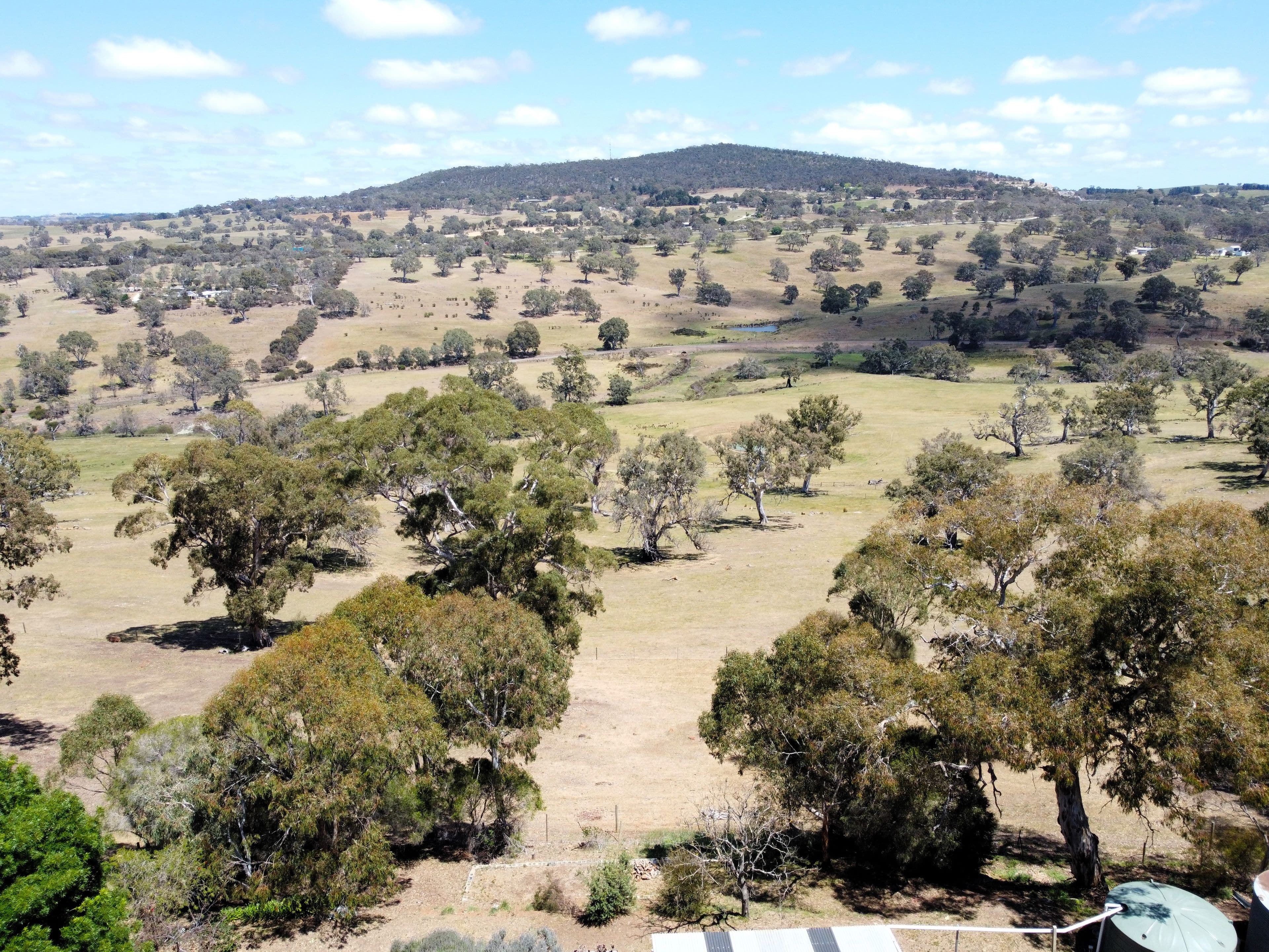 184 Ironstone Range Road, Petwood SA 5254, Petwood - Thumbnail 4
